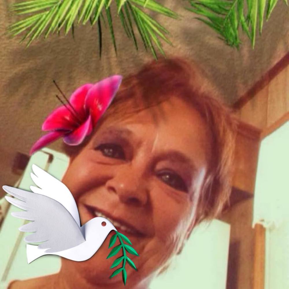 Meet your Posher, Priscilla
